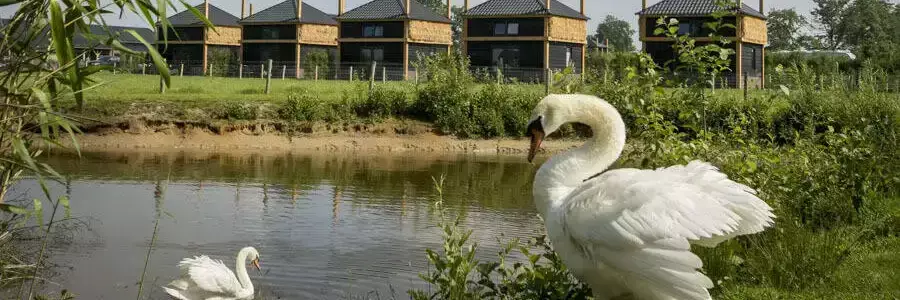 Cottage-Holiday Home Camping Nieuw Romalo