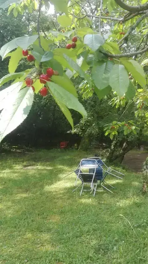 Općenito Camping Nirvana