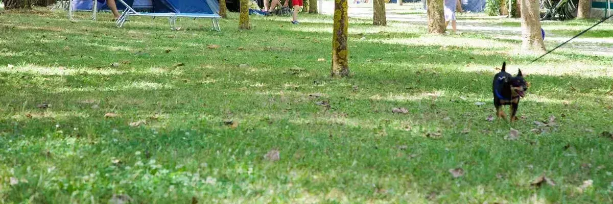 Sátor Camping Numana Blu