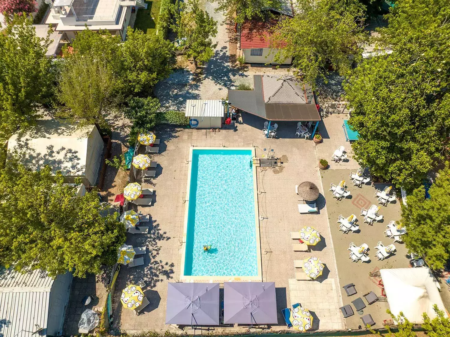 Swimming pool Camping Oasi