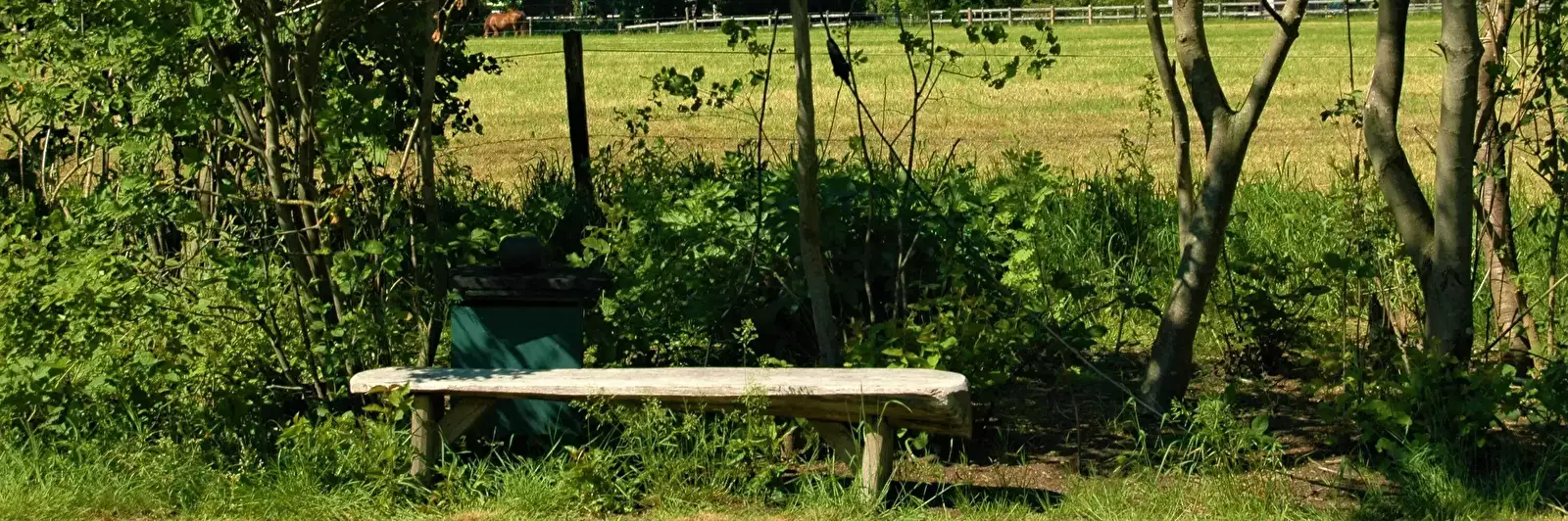 Pohled Camping Oldendiever