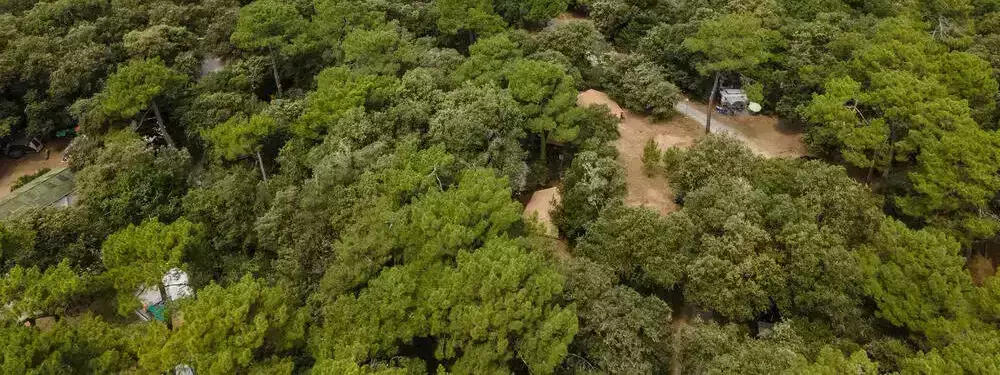 Placeringsoversigt Camping Oléron les Chênes Verts - Huttopia
