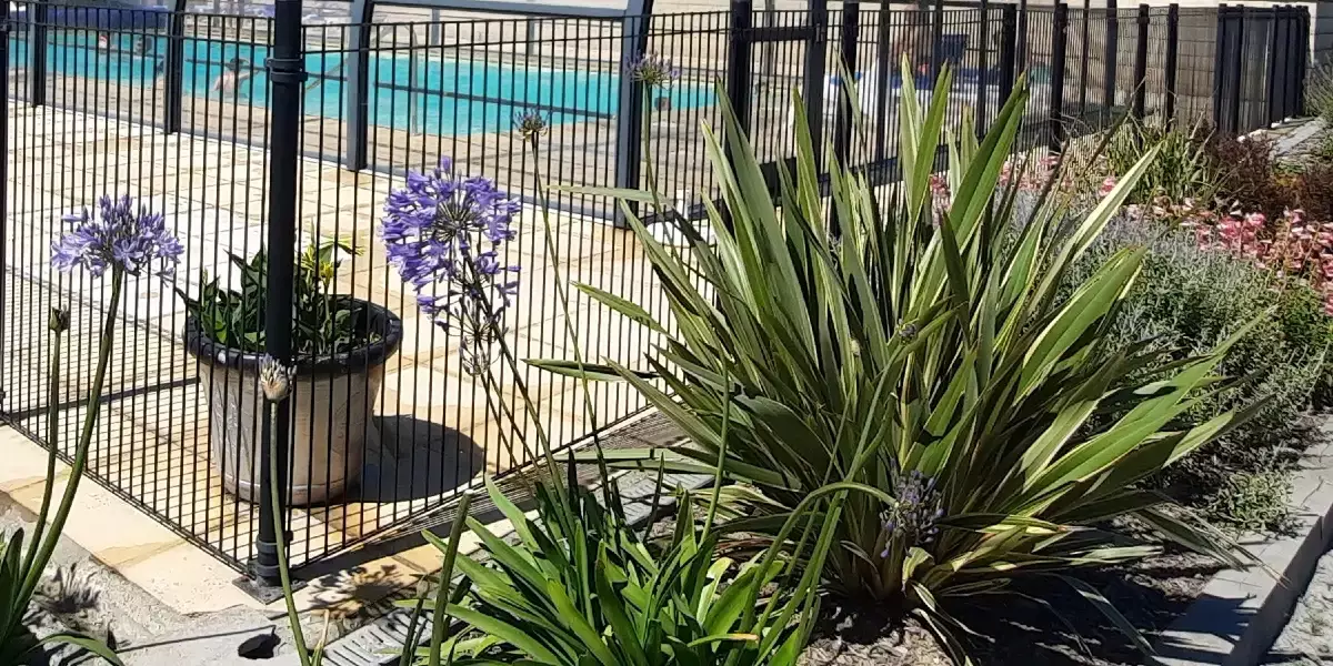 Piscina interna Camping Omaha Beach