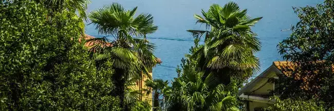 Posizione Camping Opatija
