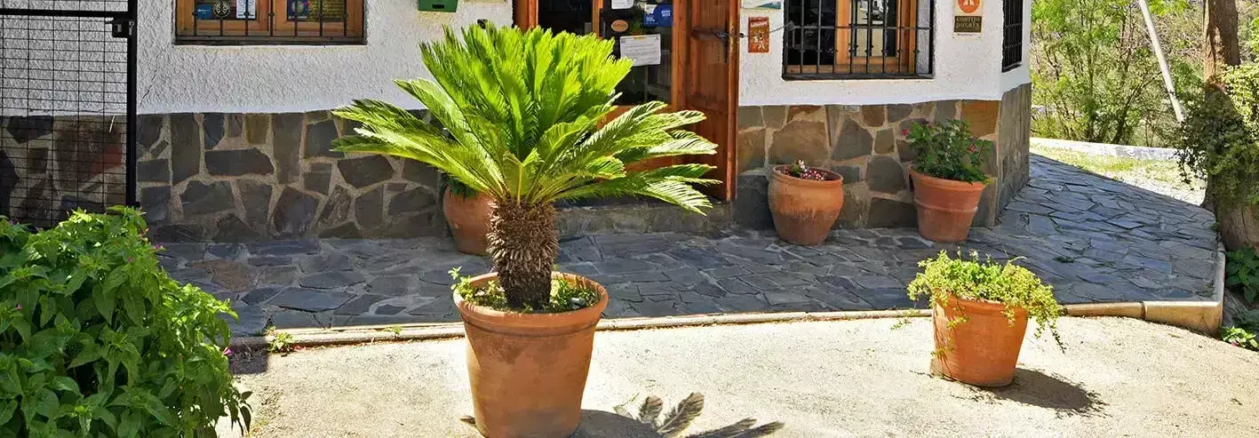 Recepção Camping Orgiva