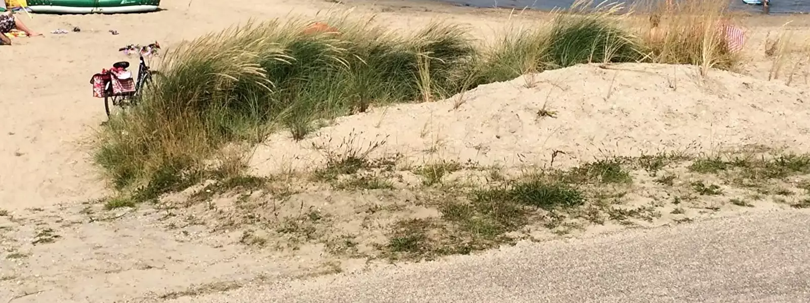 Beach Camping Orisant