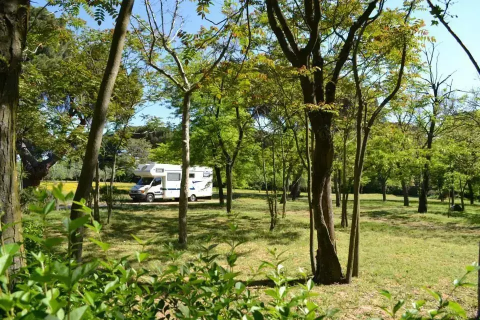 Piazzola camper Camping Osuna