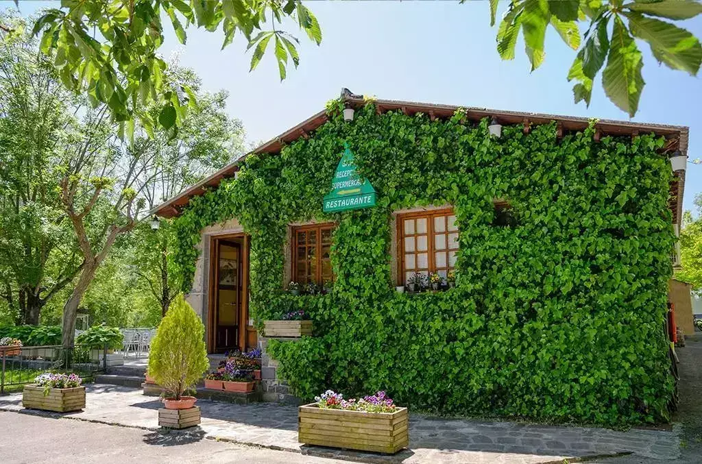 Cafe-Bar-Restaurant Camping Oto