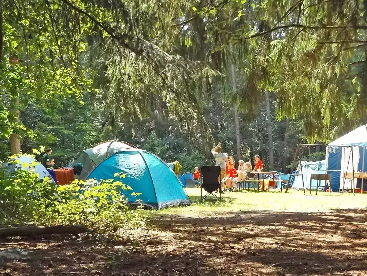 Plocha Camping Paradis Albret