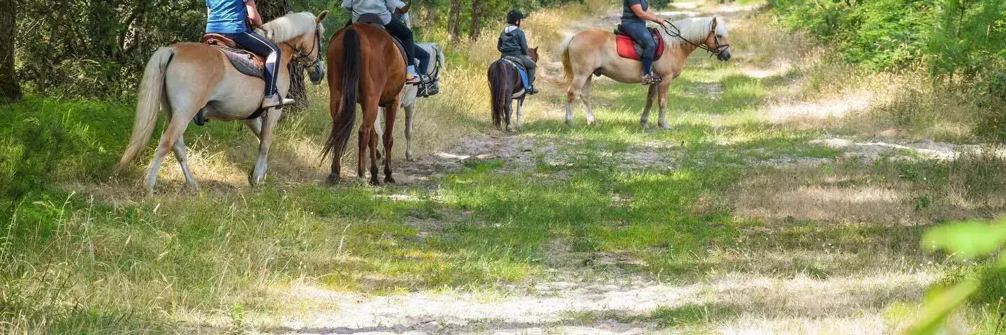 Equitazione su pony o cavalli Camping Paradis des Pins - Soulac