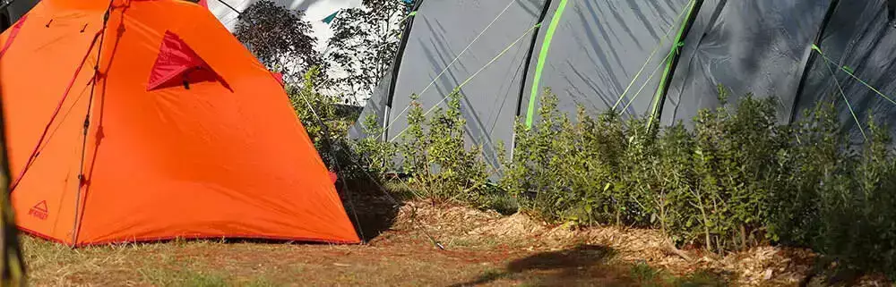 Staanplaats Camping Paradis Domaine Oyat