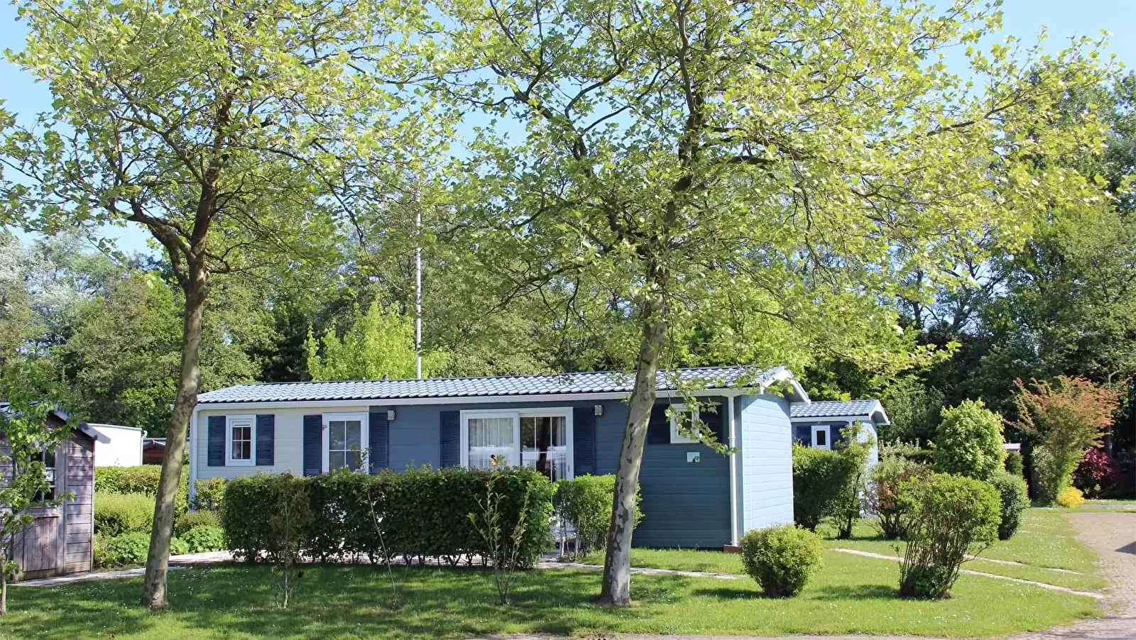 Chalet-Bungalow Camping Park Wijde Blick - Molecaten