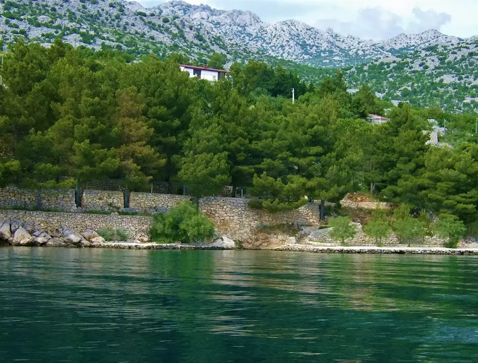 Obecné Camping Pinus