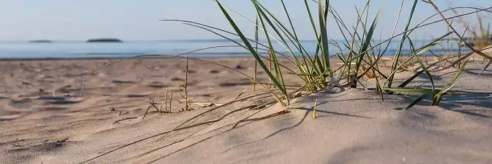 Beach Camping Pite Havsbad