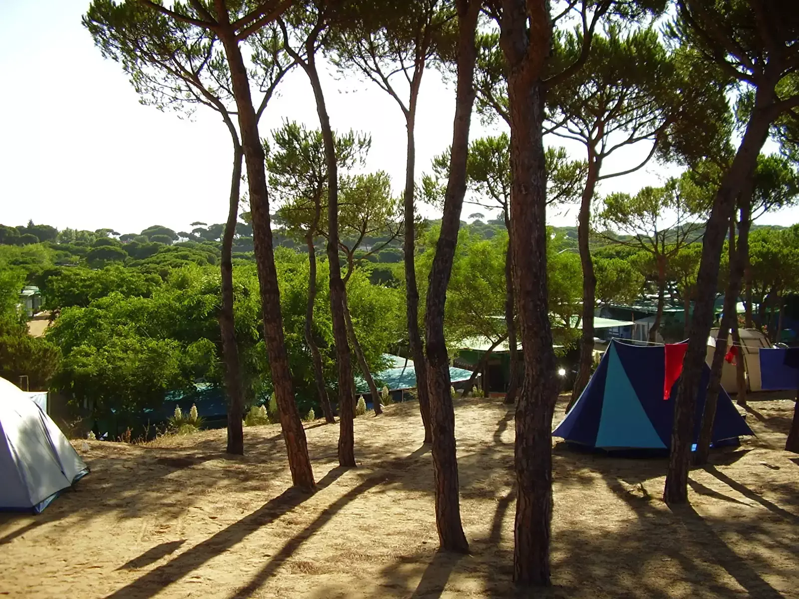 Stan Camping Playa La Bota