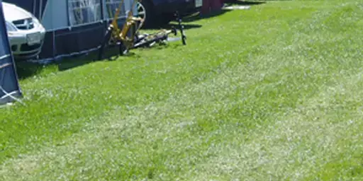 Telt Camping Riis Feriepark