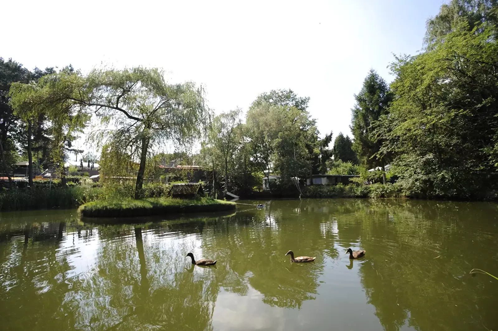 Locatie Camping Roland