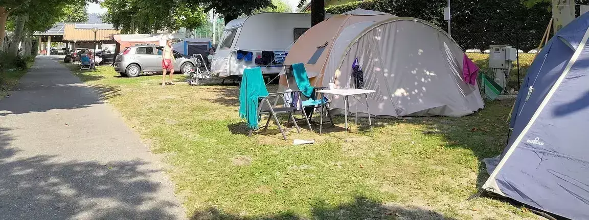 Tent Camping Rose