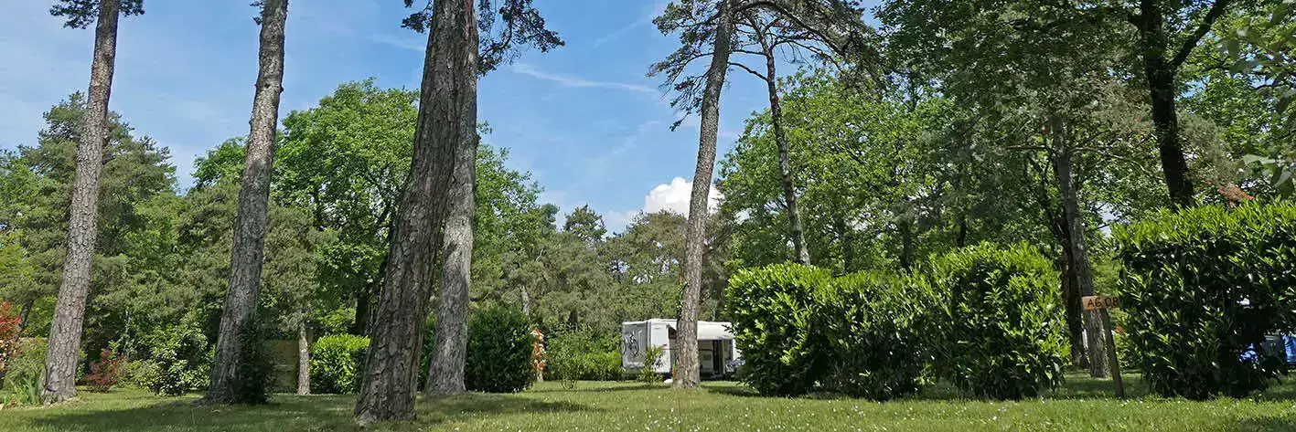 Staanplaats Camping Saint Disdille