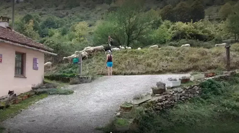 Generel Camping Saint Sébastien