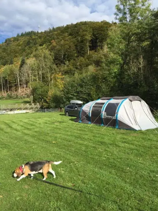 auto zelte Family Base Vorzelt fr die Familie