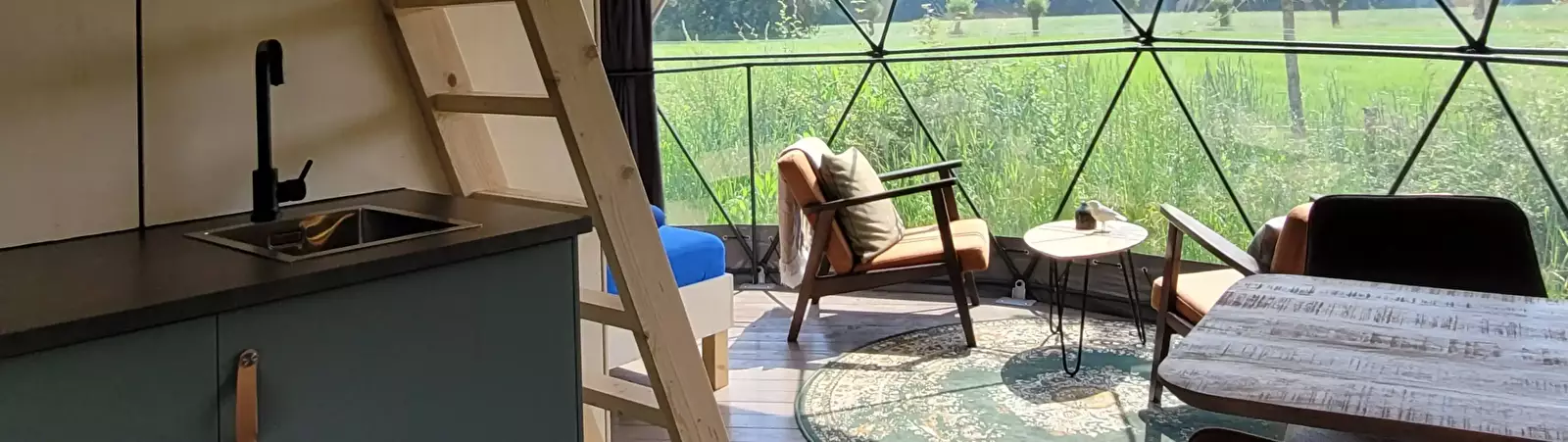 Dome tent Camping Schoneveld