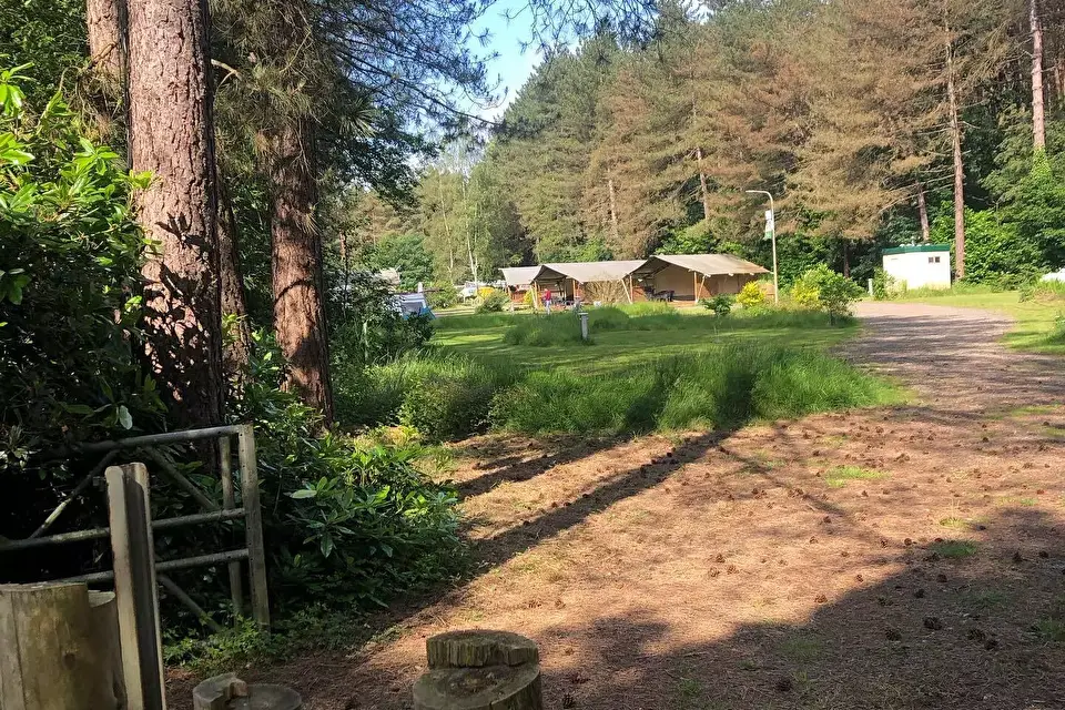 Camping Siesta