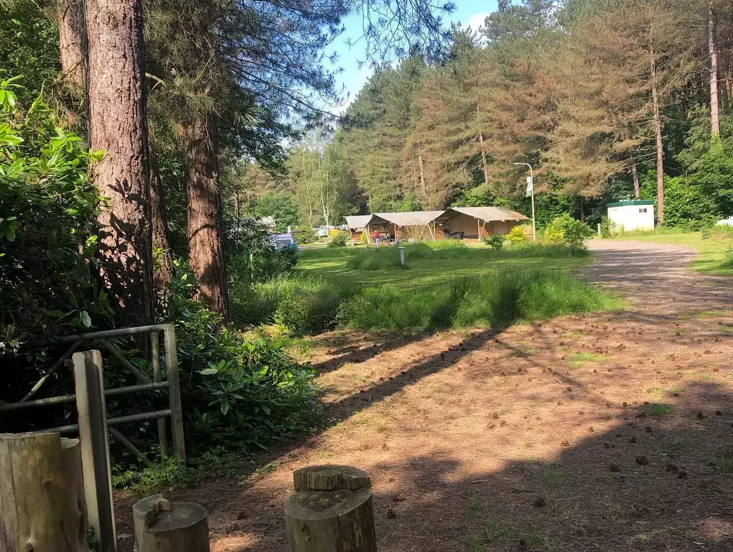 Tenda Safari Camping Siesta