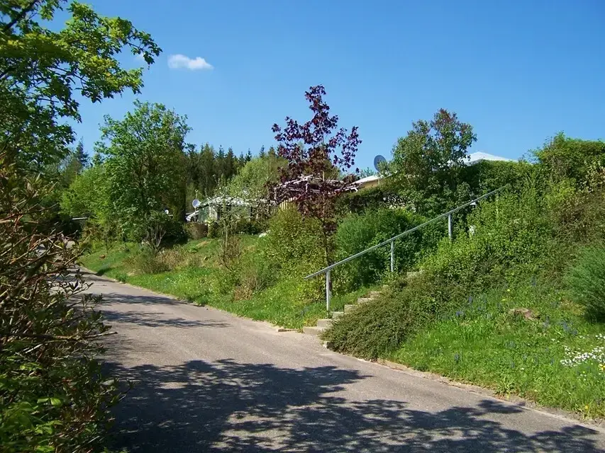 Camping Sonneneck Am Haselbachsee in Ellenberg, Deutschland (2026) |  JetCamp.com