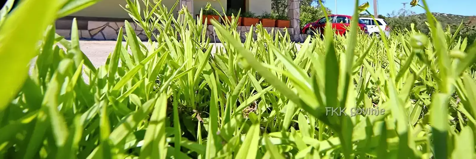 Obecné Camping Sovinje