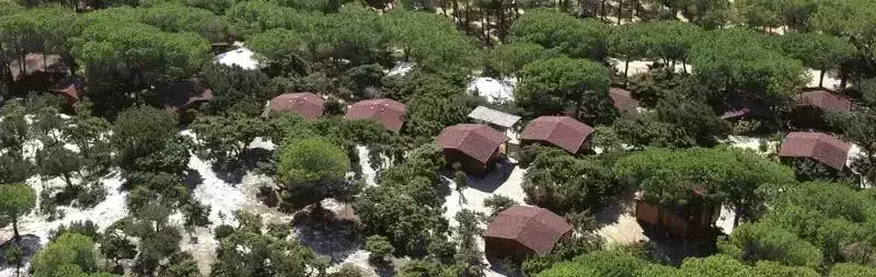 View Camping Spiaggia Del Riso Villasimius