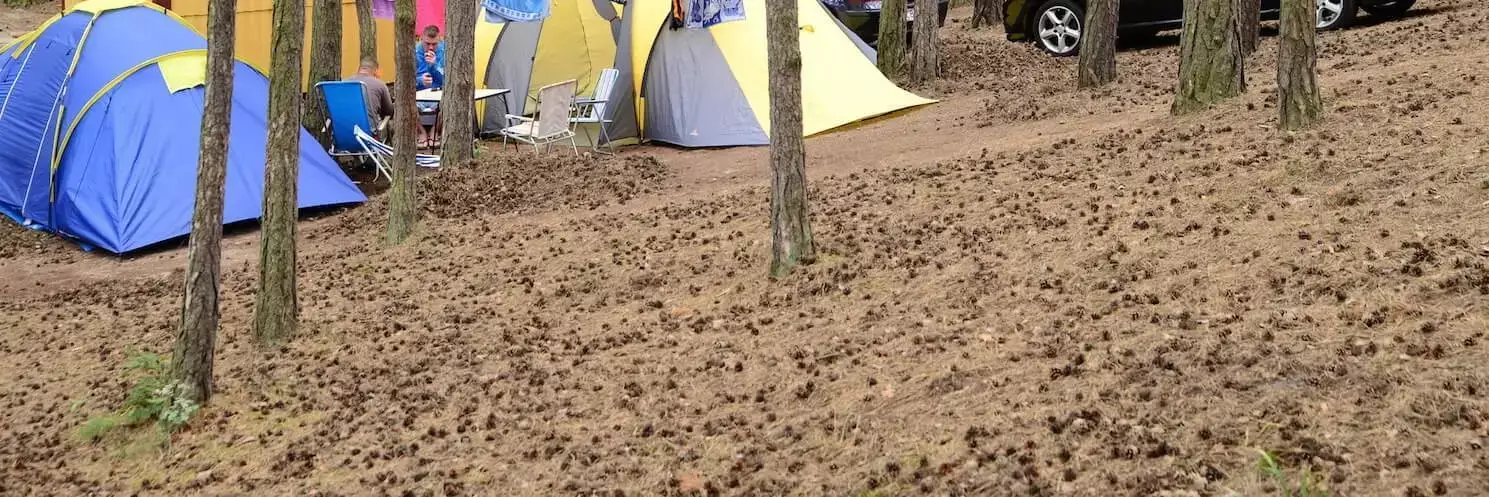 Tent Camping Stogi Nr 218