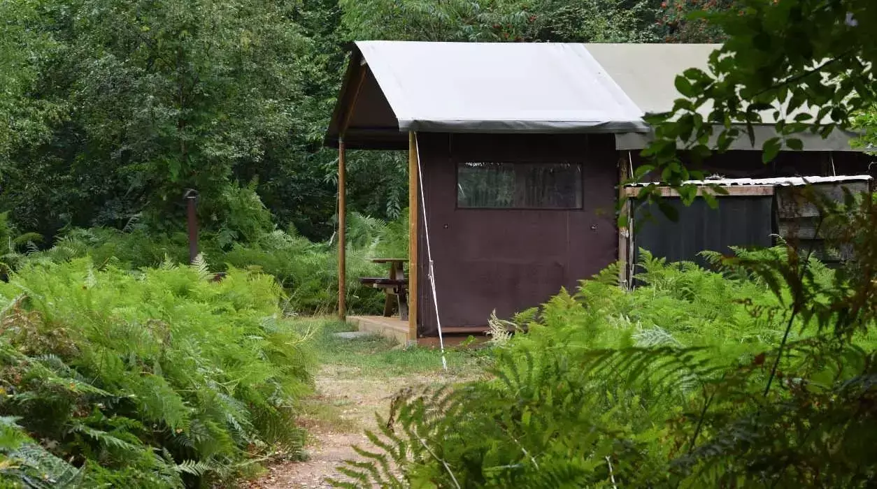 Tienda Safari Camping ‘t Boshuis - Boerenbed