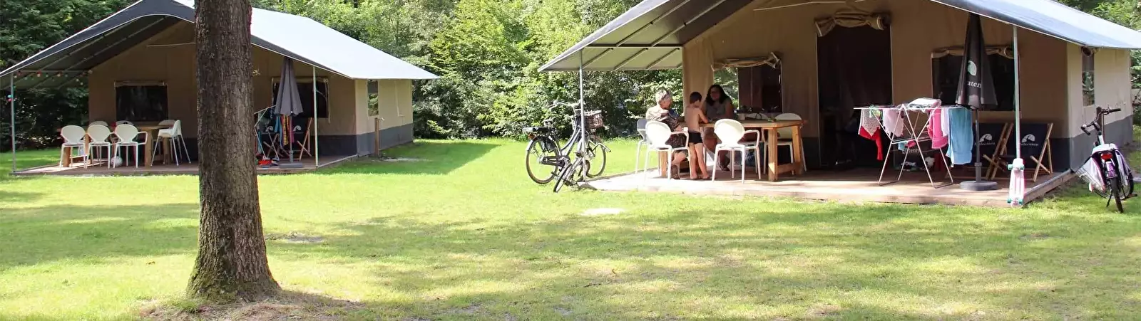 Safari tent Camping 't Hout - Molecaten
