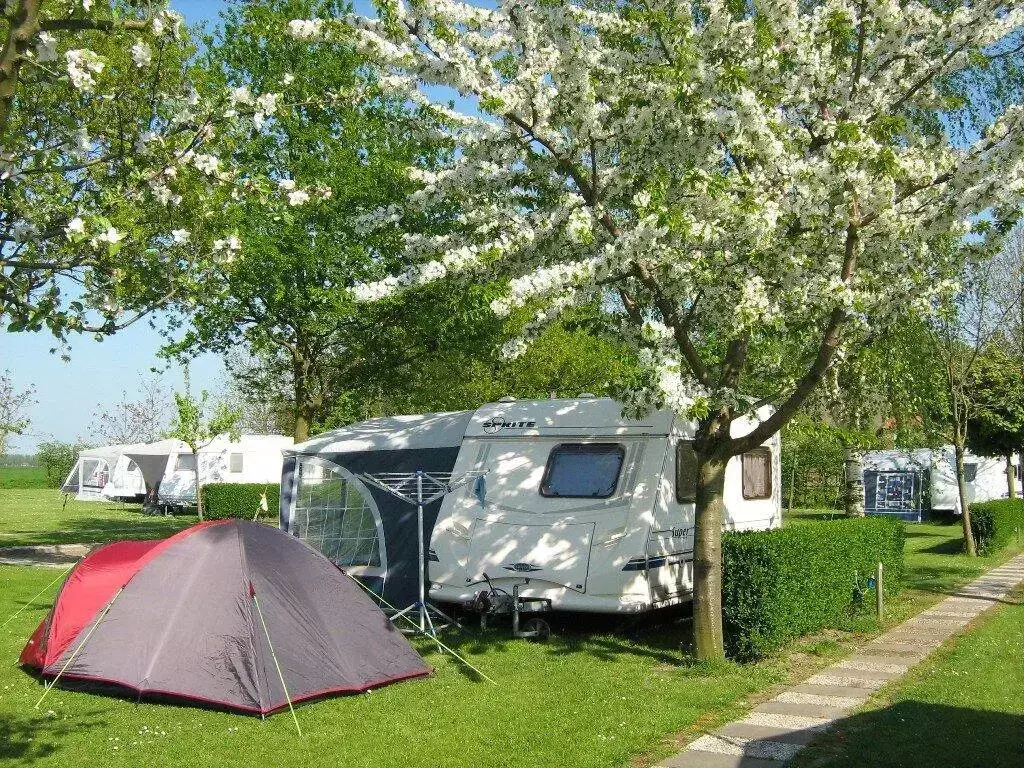 Staanplaats Camping Ter Leede
