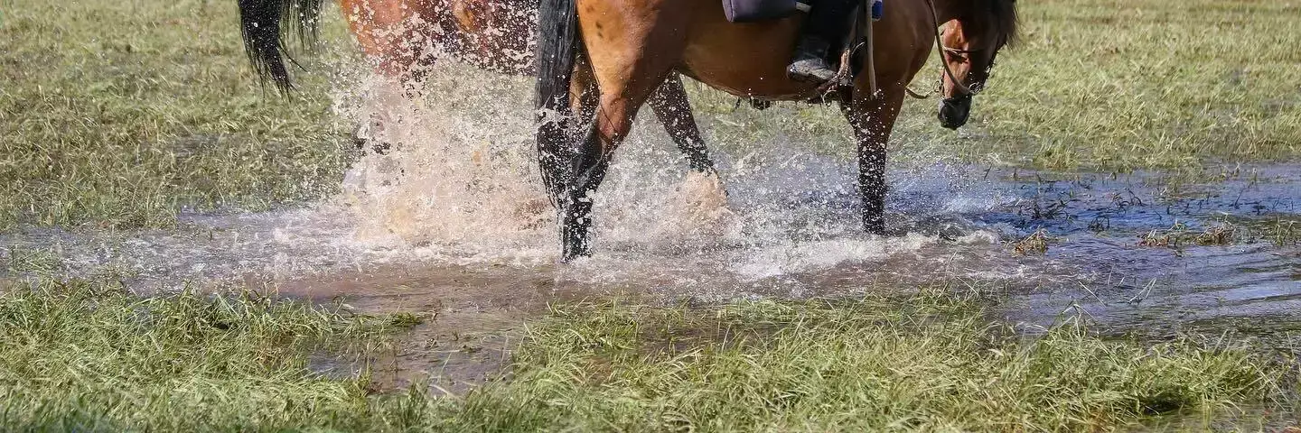 Sportovní Camping The Eagle Trail Ranch