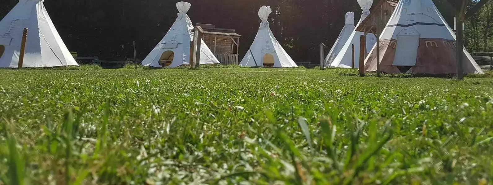 Stan Camping Tipihof