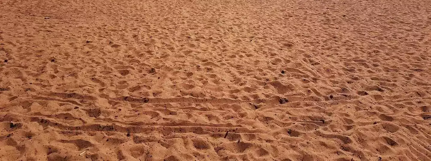 Beach Camping Tivedsbadet