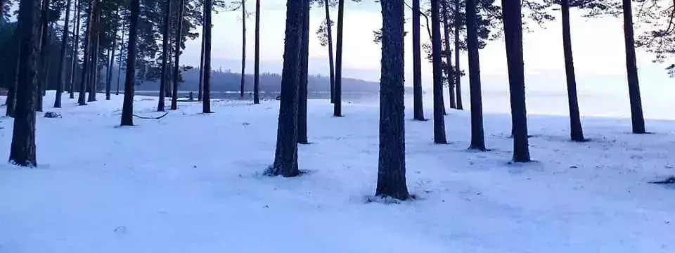 Winter images Camping Tivedsbadet