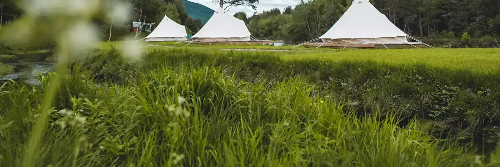 Bell tent Camping Toftemo Turiststasjon