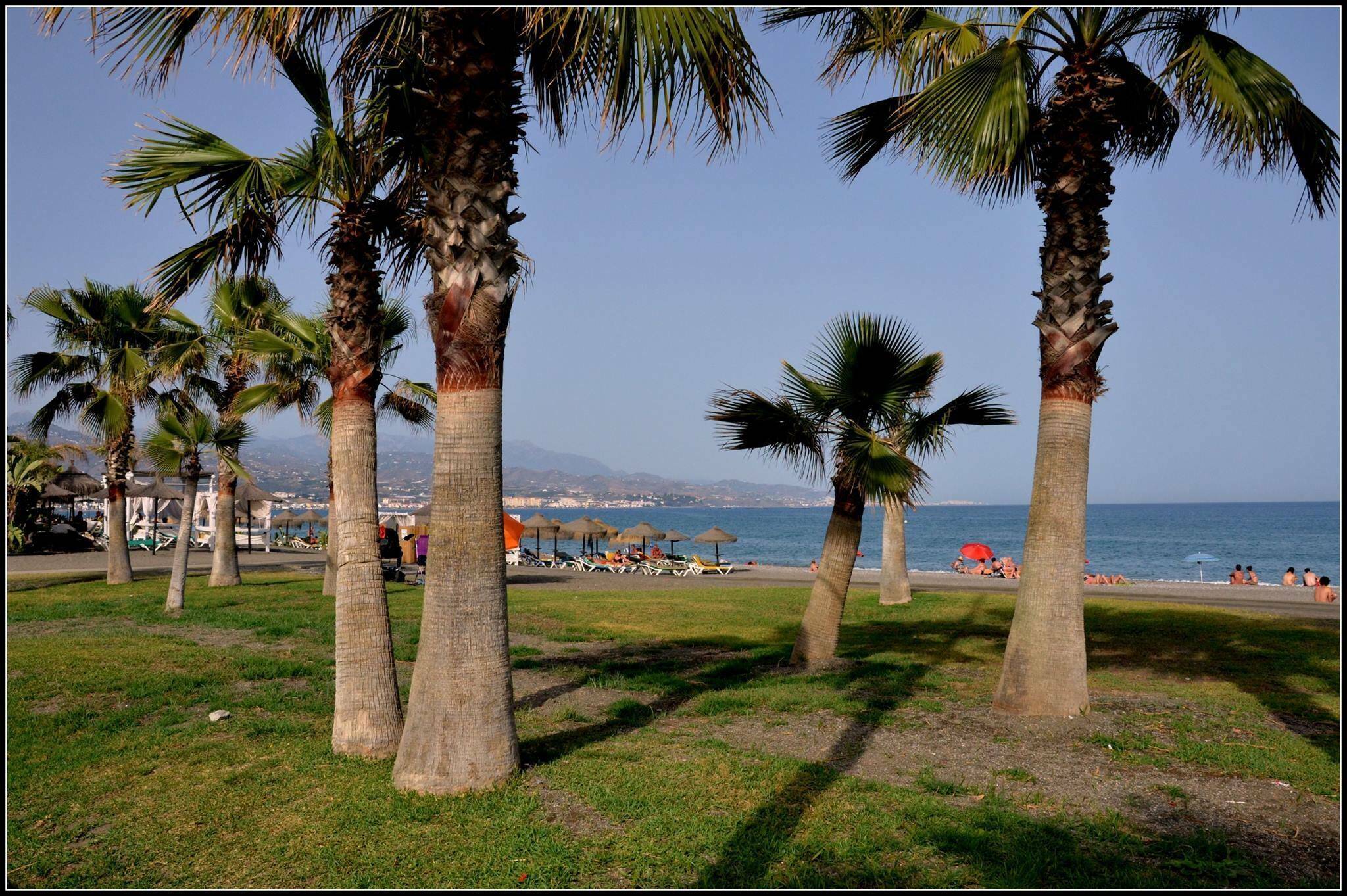 Camping Torre Del Mar in Torre del Mar, Spanien (2024) Alle