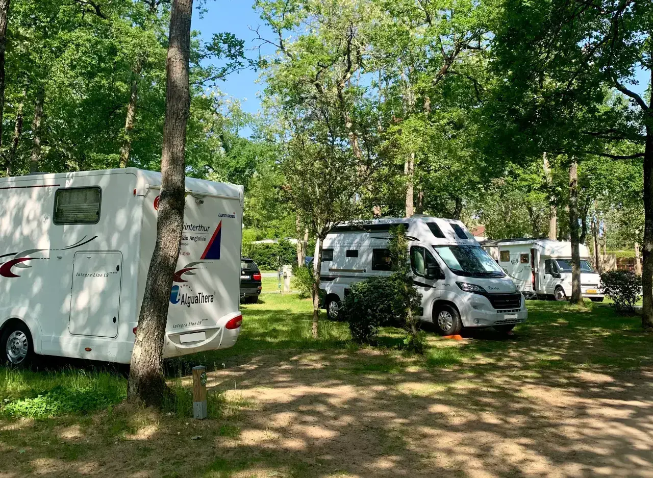 Camping Tours Les Acacias in La Ville-aux-Dames, Frankreich (2026) | Alle  Campingpltze auf JetCamp.com