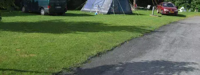 Pitch Camping Tree Grove