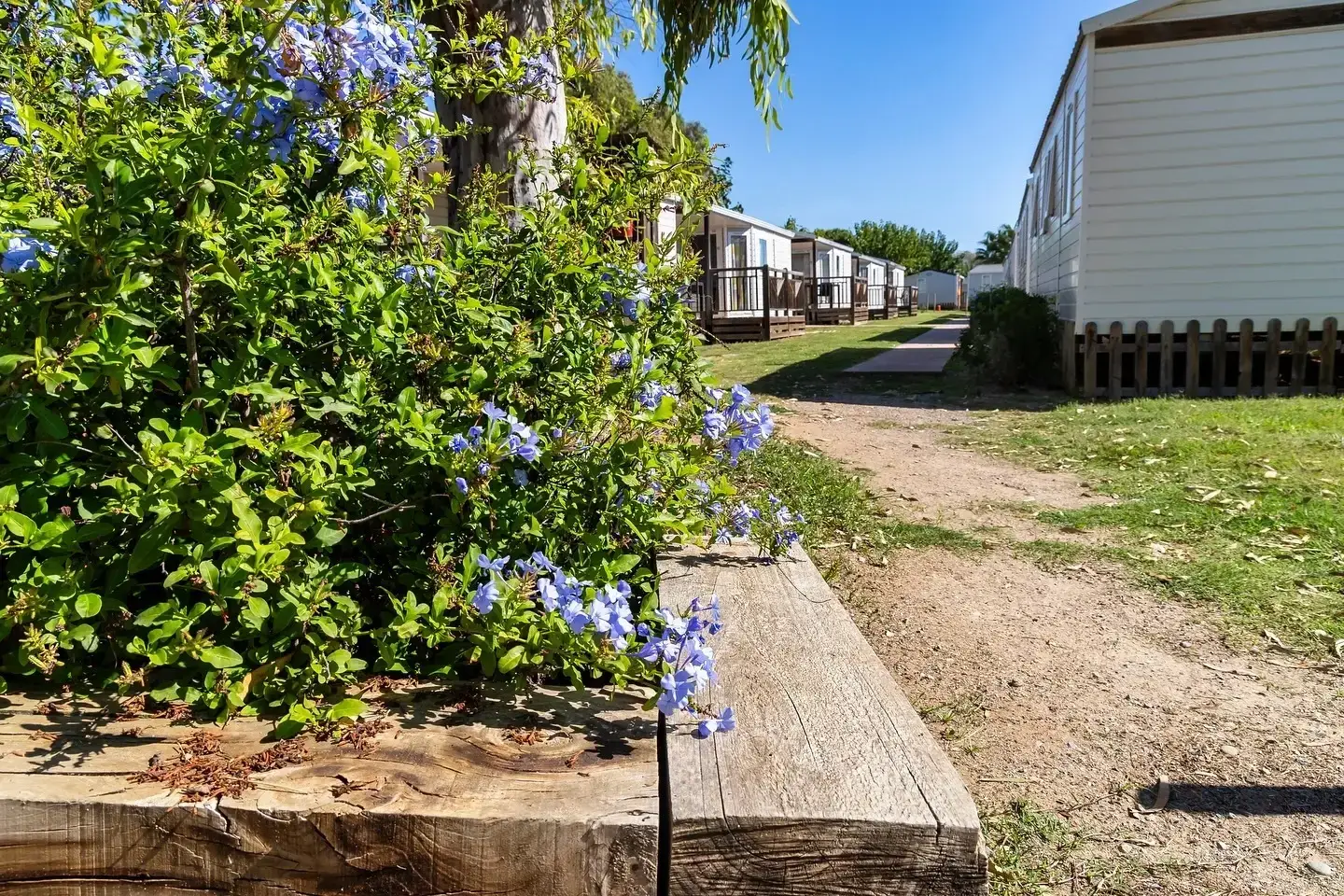 Camping Tres Estrellas Barcelona in Gav, Spanien (2026) | Buchen Sie Ihren  Campingplatz auf JetCamp.com