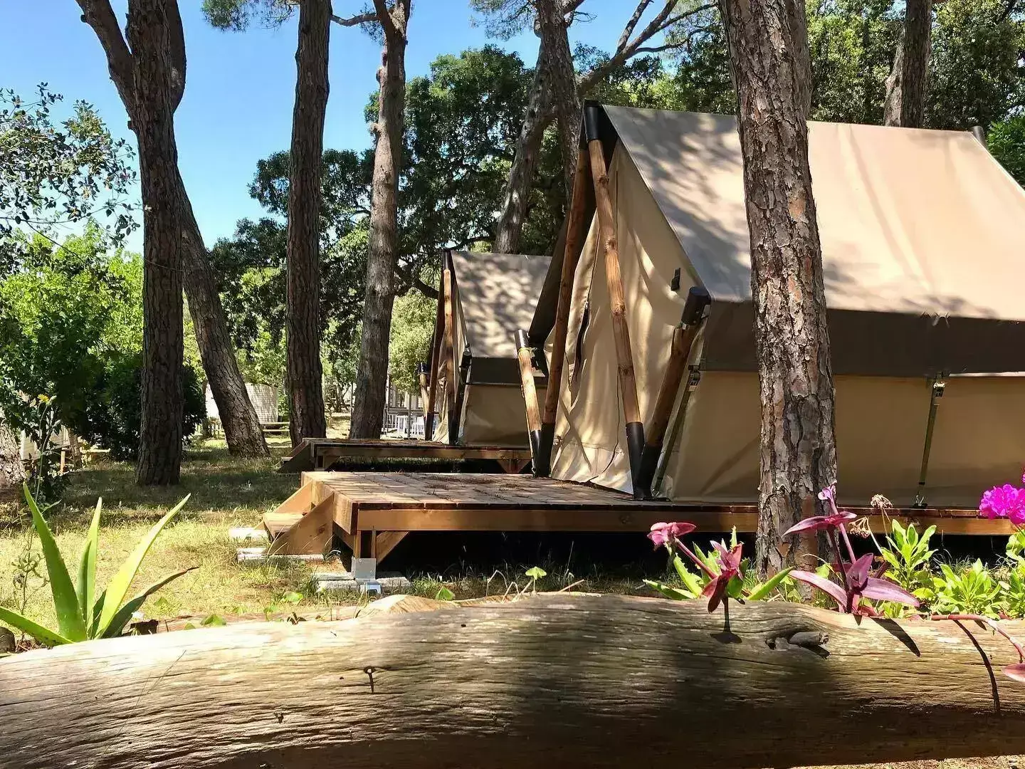 Glamping Camping Tres Estrellas Costa Brava