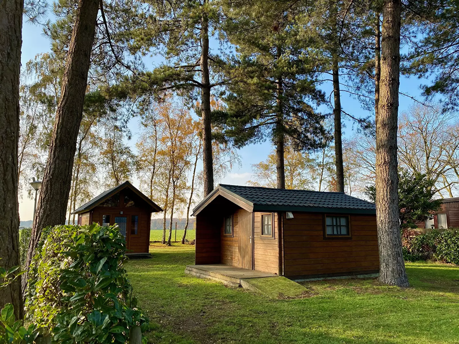 Chalet-Bungalow Camping Tulderheyde