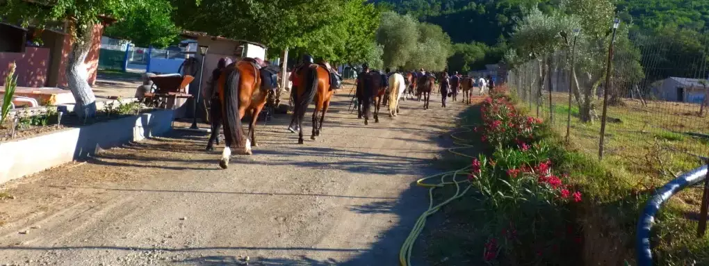 Equitazione su pony o cavalli Camping U Sortipiani