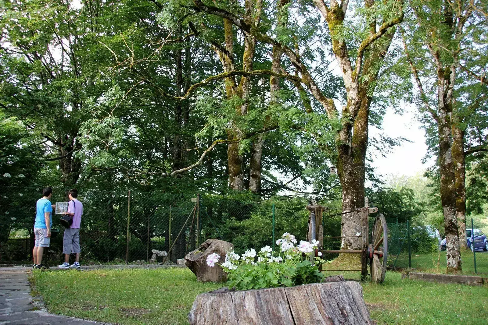 General Camping Urbasa