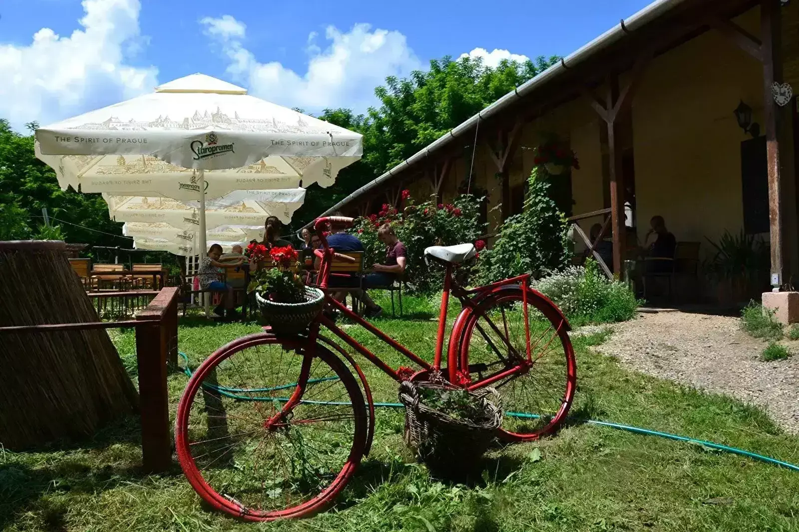 Cafe-Bar-Restaurant Camping Vár