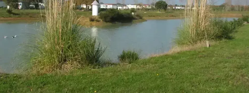 Udsigt Camping Vert Océan